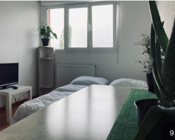 Zenith Strasbourg 2 Chambre Eckbolsheim Buitenkant foto